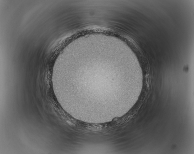 X0000115201111200912091128