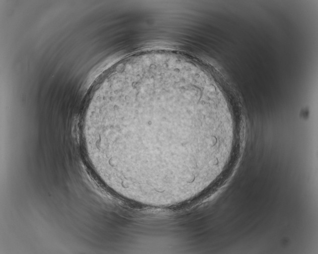 X0000115201113200912091128