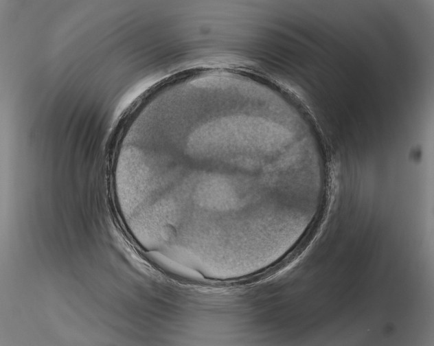 X0000115201114200912091128