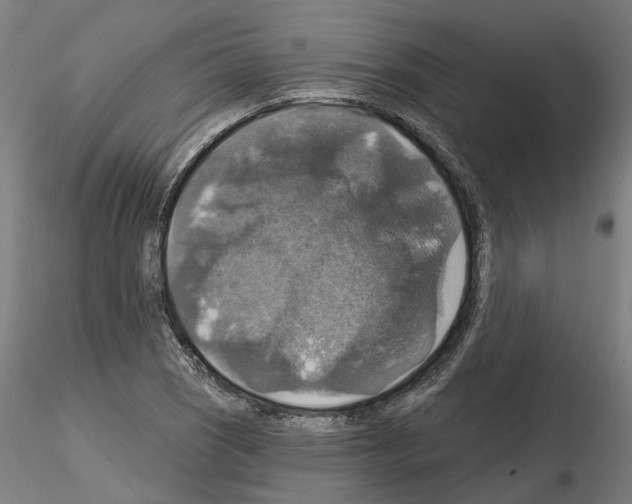 X0000115201121200912091128