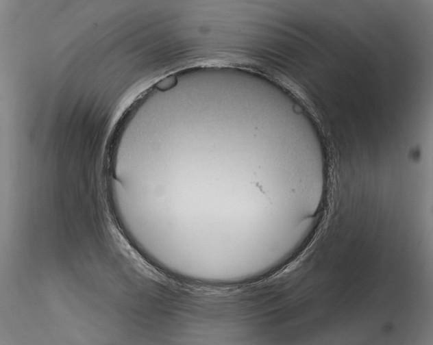 X0000115201122200912091128