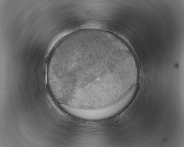 X0000115201123200912091128