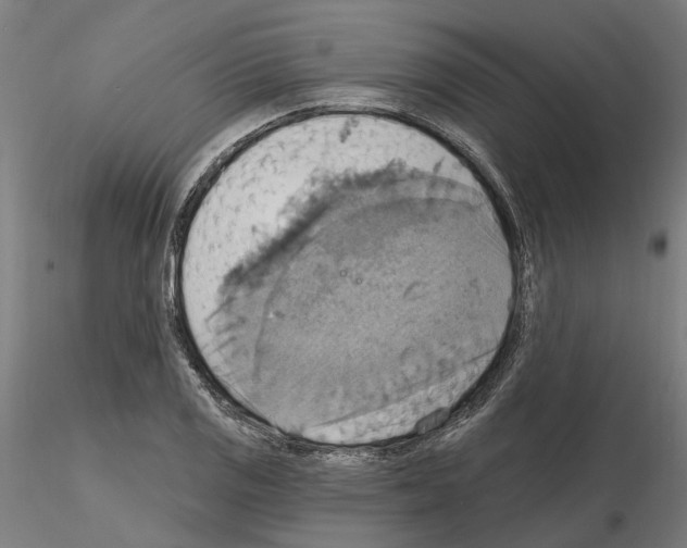 X0000115201125200912091128