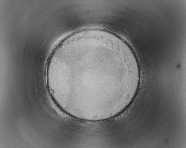 X0000115201127200912091128