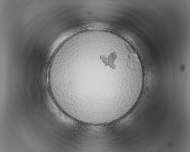 X0000115201130200912091128