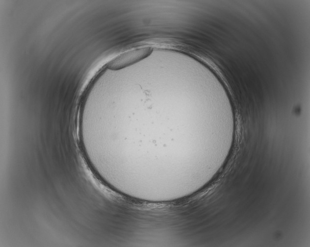 X0000115201131200912091128