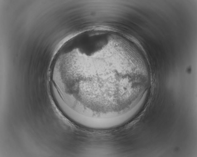 X0000115201133200912091128