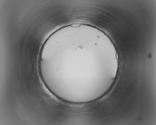 X0000115201134200912091128