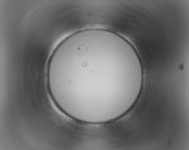 X0000115201135200912091128