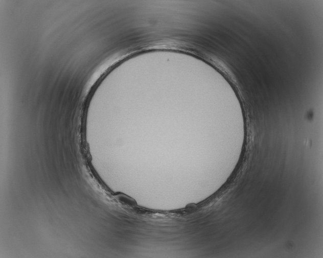 X0000115201138200912091128