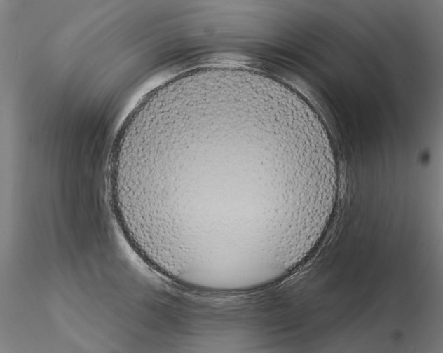 X0000115201139200912091128