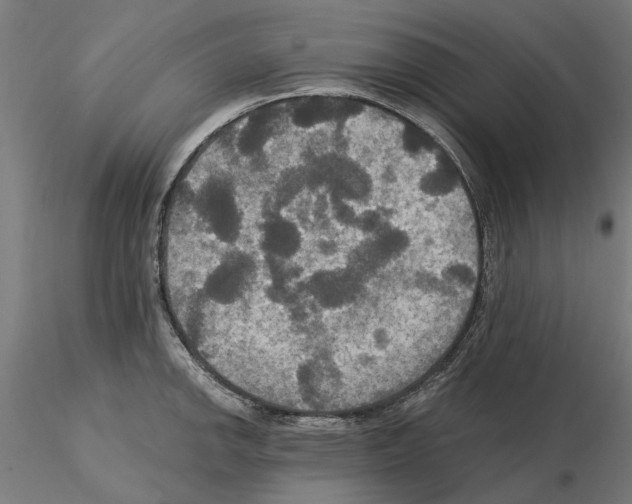 X0000115201142200912091128