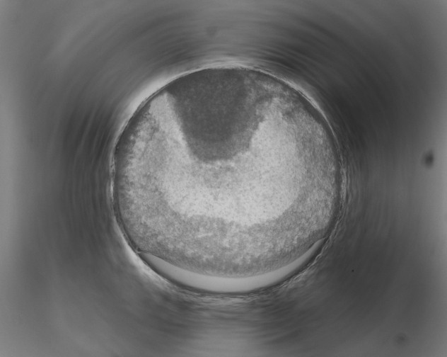 X0000115201143200912091128