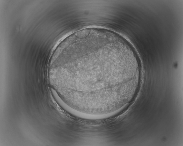 X0000115201145200912091128