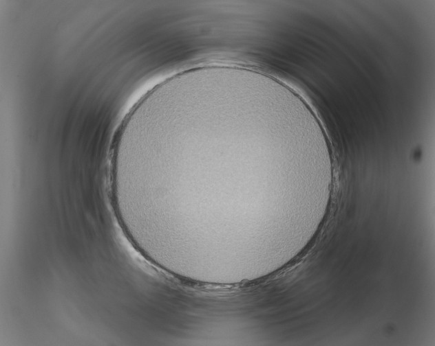 X0000115201147200912091128