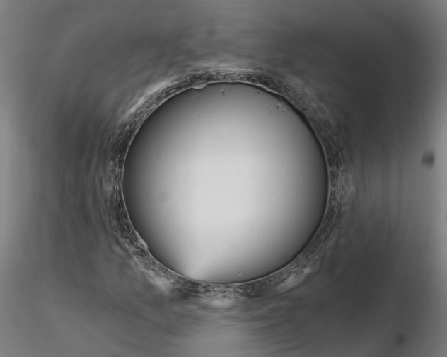 X0000115201157200912091127