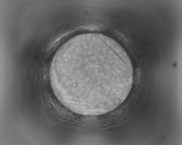 X0000115201158200912091127