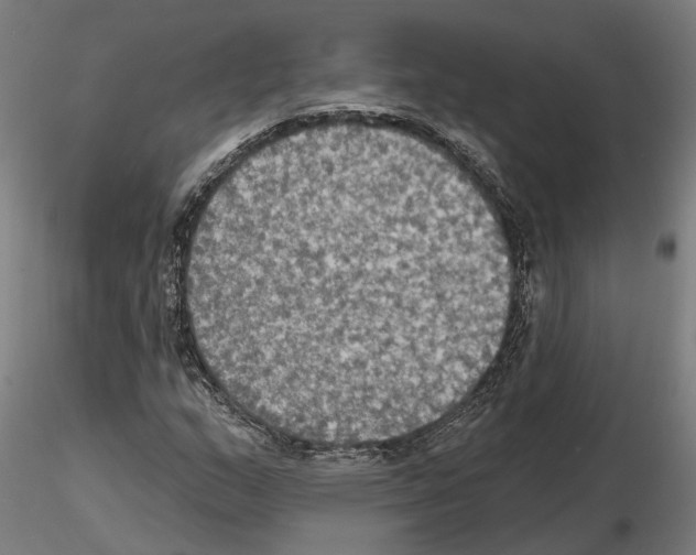 X0000115201159200912091127