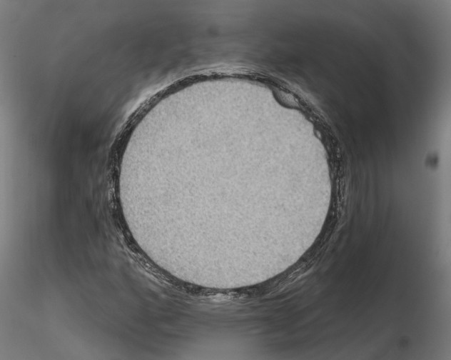 X0000115201160200912091127