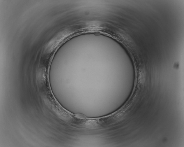 X0000115201161200912091127