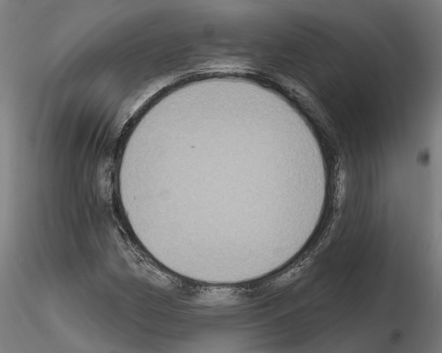 X0000115201162200912091127