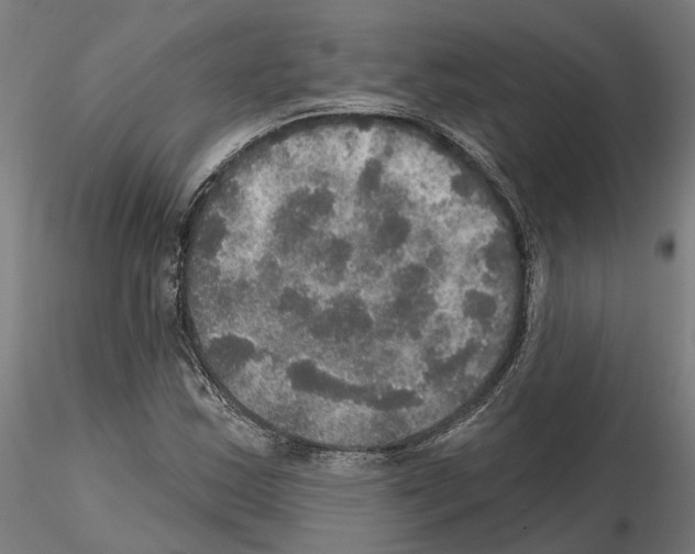 X0000115201163200912091127