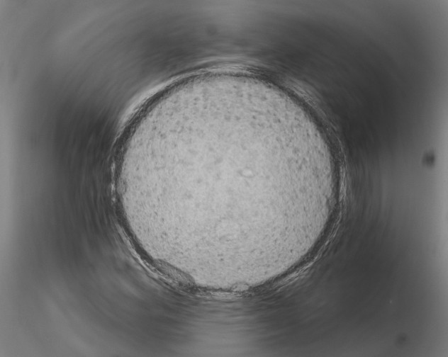 X0000115201164200912091127