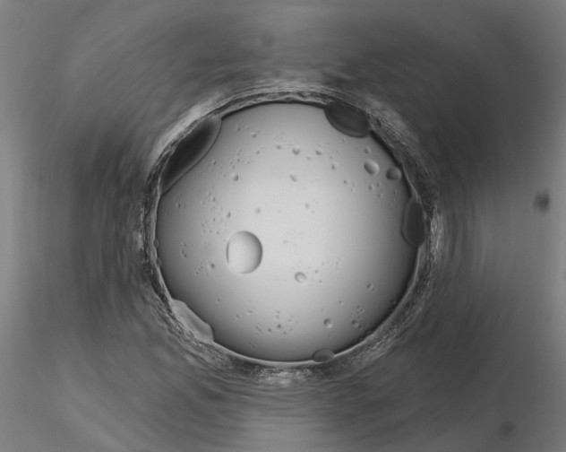 X0000115201165200912091127