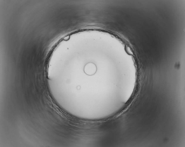 X0000115201167200912091127