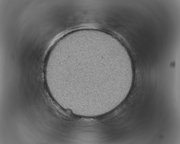 X0000115201168200912091127