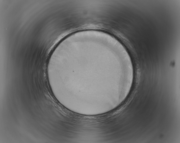 X0000115201170200912091127