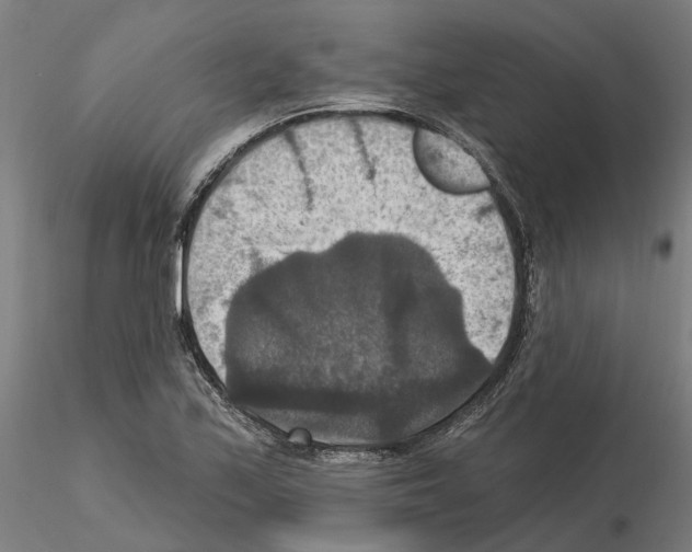 X0000115201171200912091127