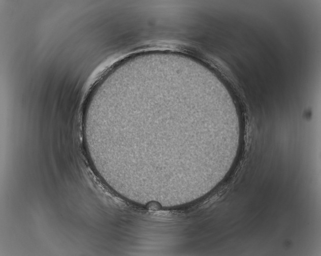 X0000115201172200912091127