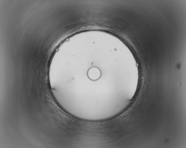 X0000115201173200912091127