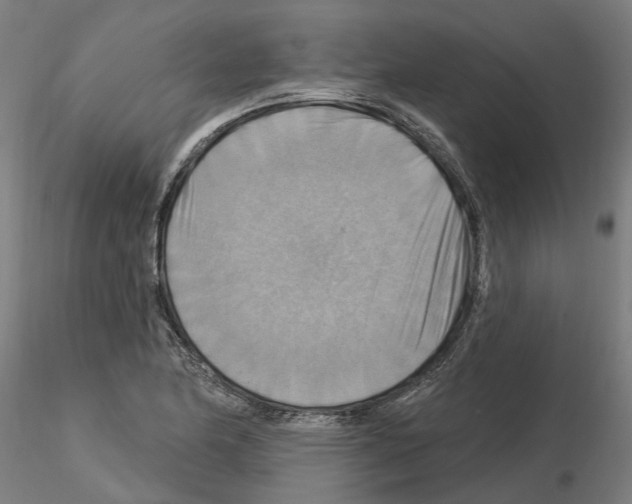 X0000115201174200912091127