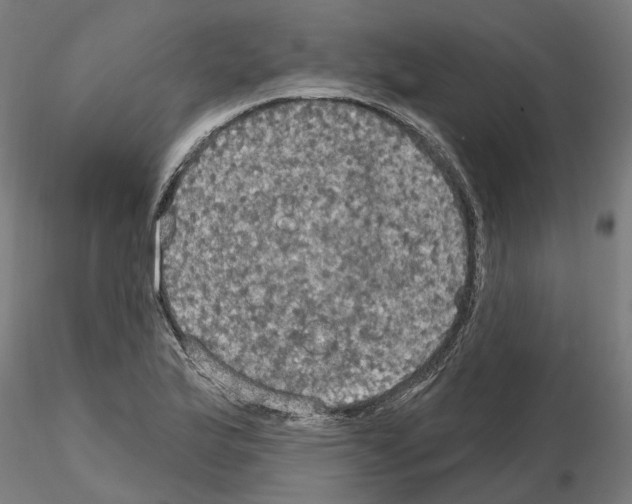 X0000115201175200912091127