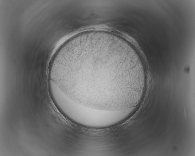 X0000115201176200912091127