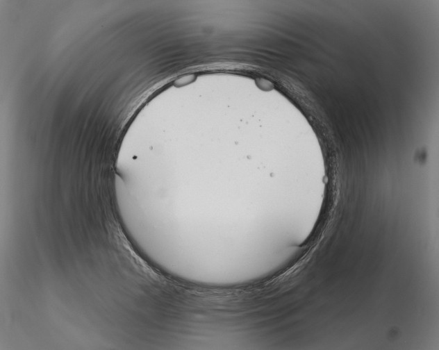 X0000115201177200912091127