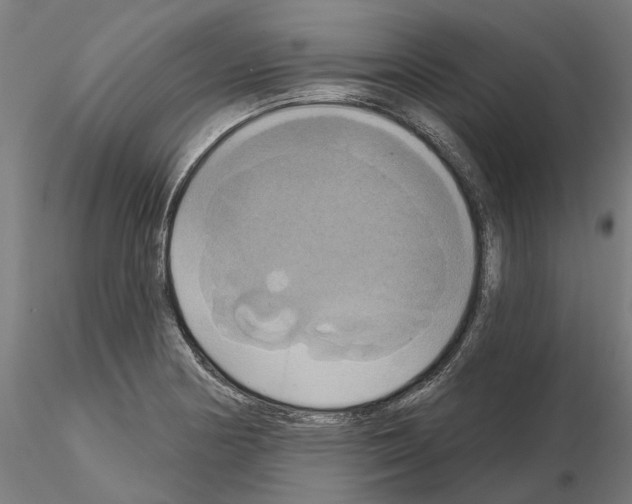 X0000115201178200912091127