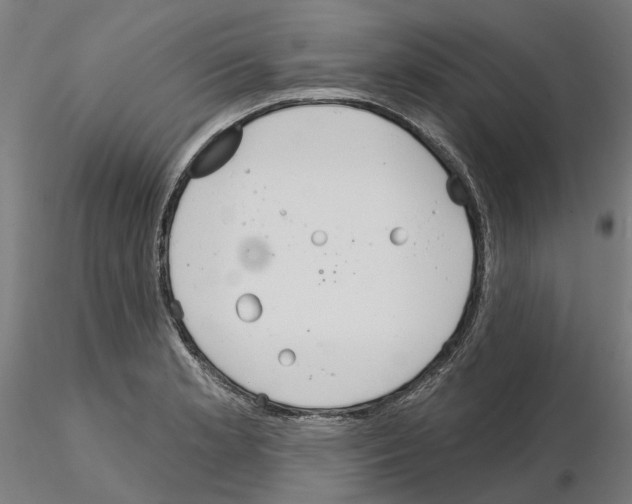 X0000115201181200912091127