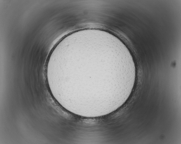 X0000115201182200912091127