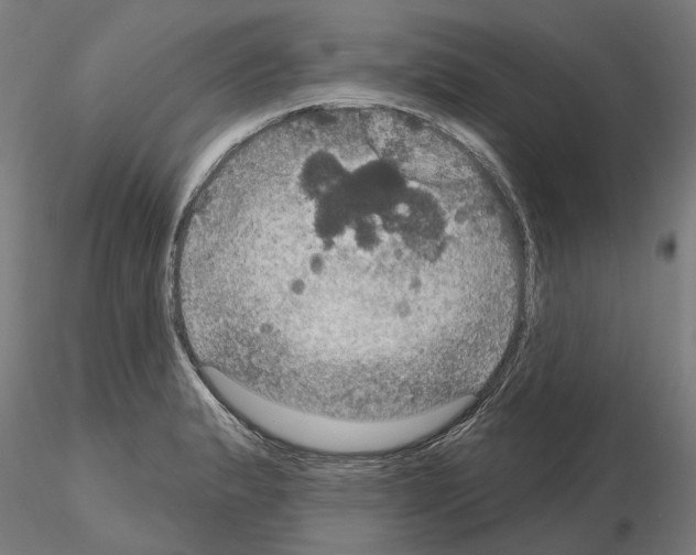 X0000115201183200912091127