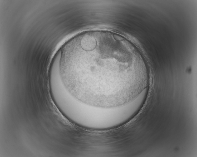 X0000115201184200912091127