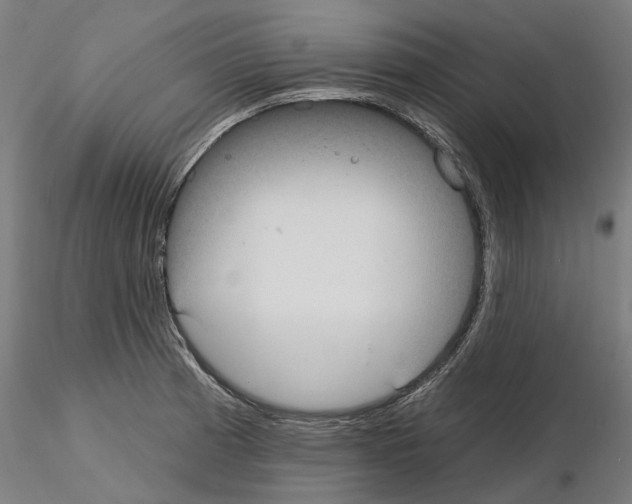 X0000115201185200912091127