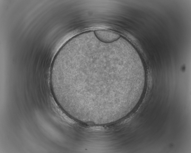 X0000115201186200912091127