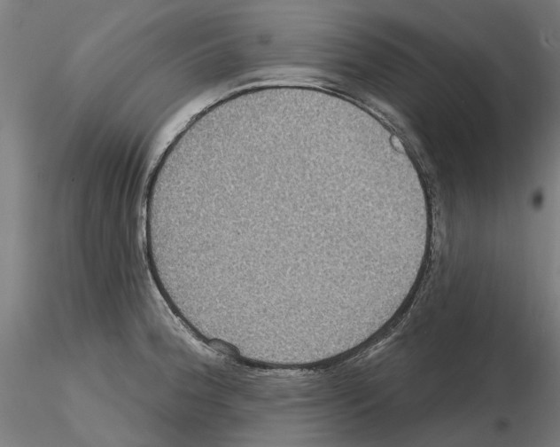 X0000115201188200912091127