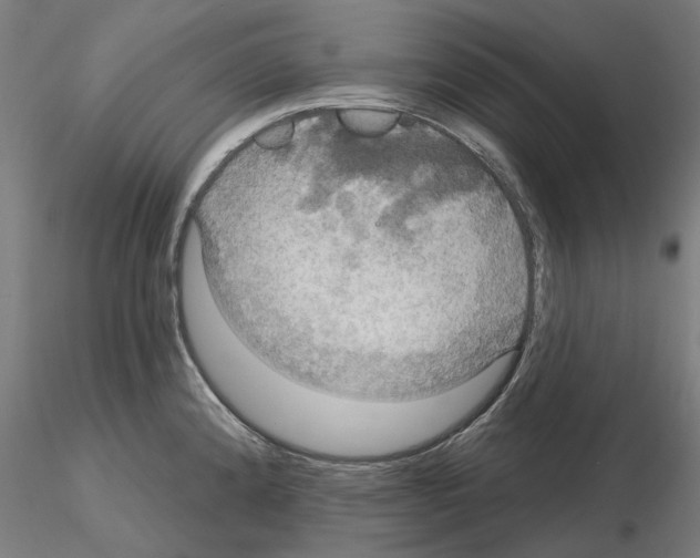 X0000115201192200912091127