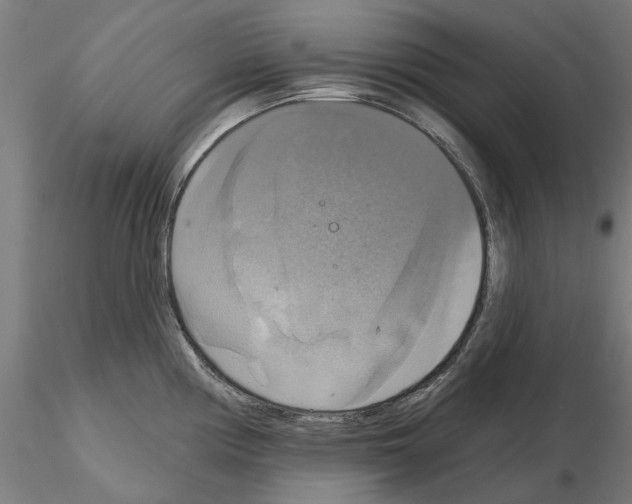 X0000115201194200912091127