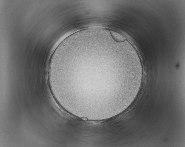 X0000115201195200912091127