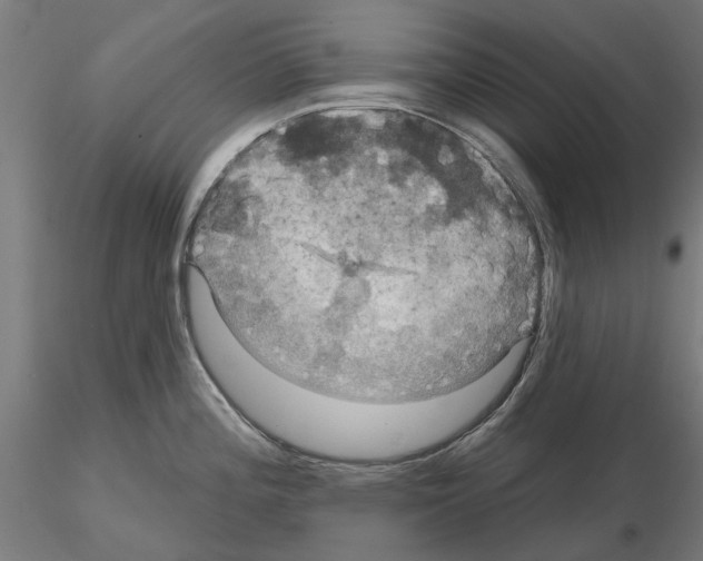 X0000115201196200912091127